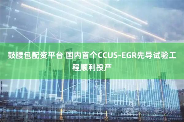 鼓腰包配资平台 国内首个CCUS-EGR先导试验工程顺利投产