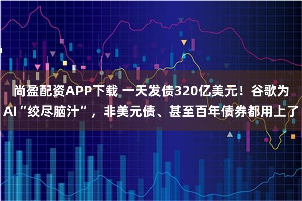 尚盈配资APP下载 一天发债320亿美元！谷歌为AI“绞尽脑汁”，非美元债、甚至百年债券都用上了