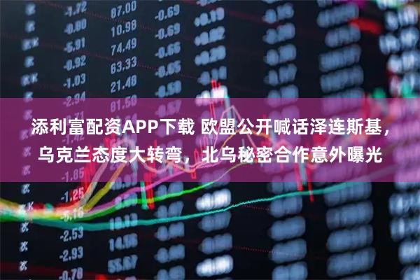 添利富配资APP下载 欧盟公开喊话泽连斯基，乌克兰态度大转弯，北乌秘密合作意外曝光
